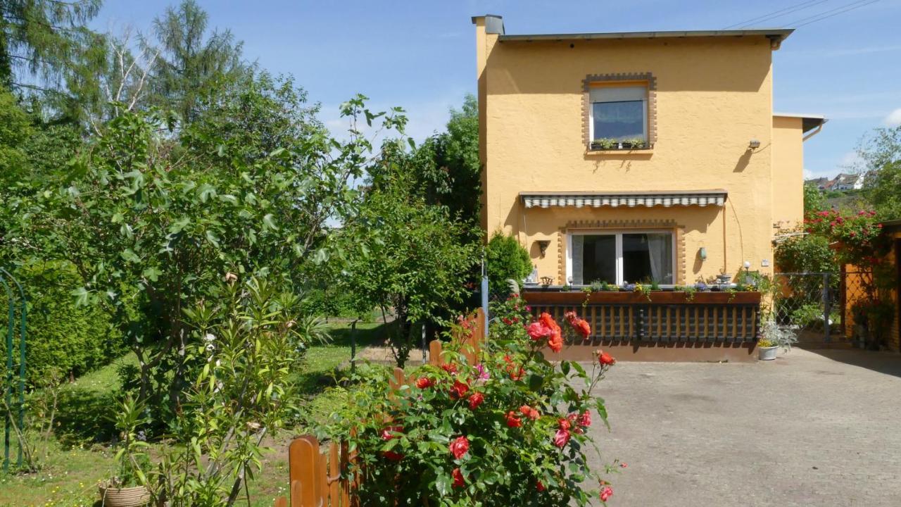 Ferienwohnung Lahnmuendung Mit Kostenlosem Parkplatz Lahnstein Exteriör bild